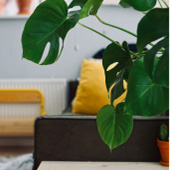 Slider images